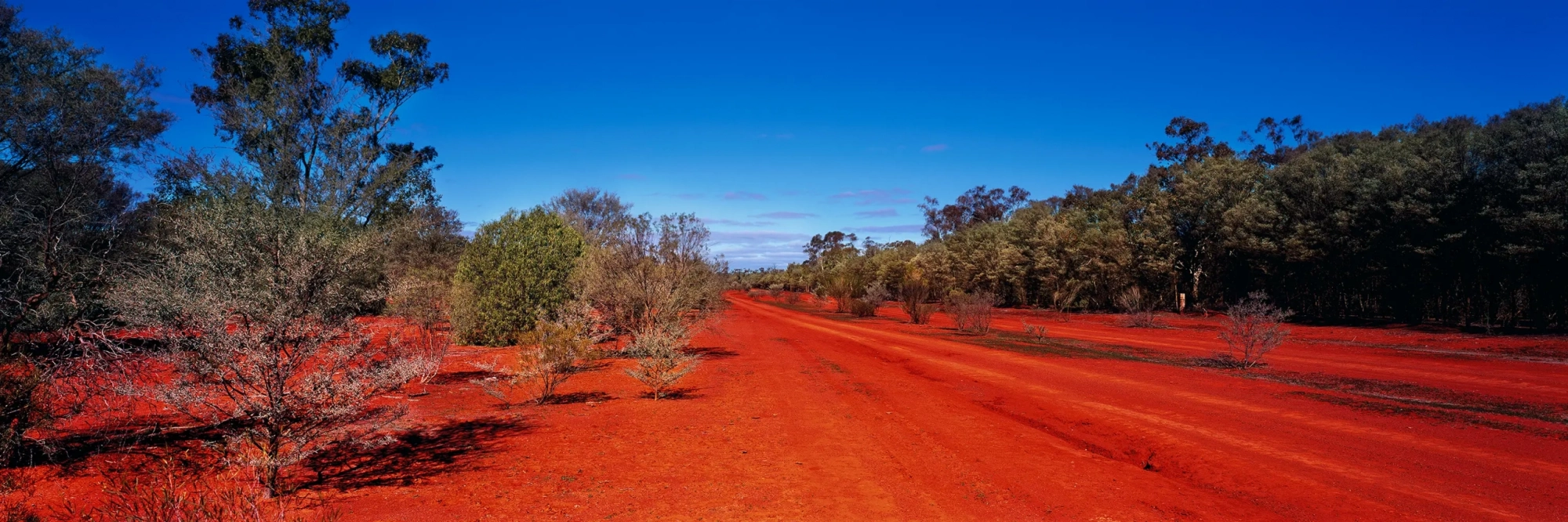 Back Of Bourke