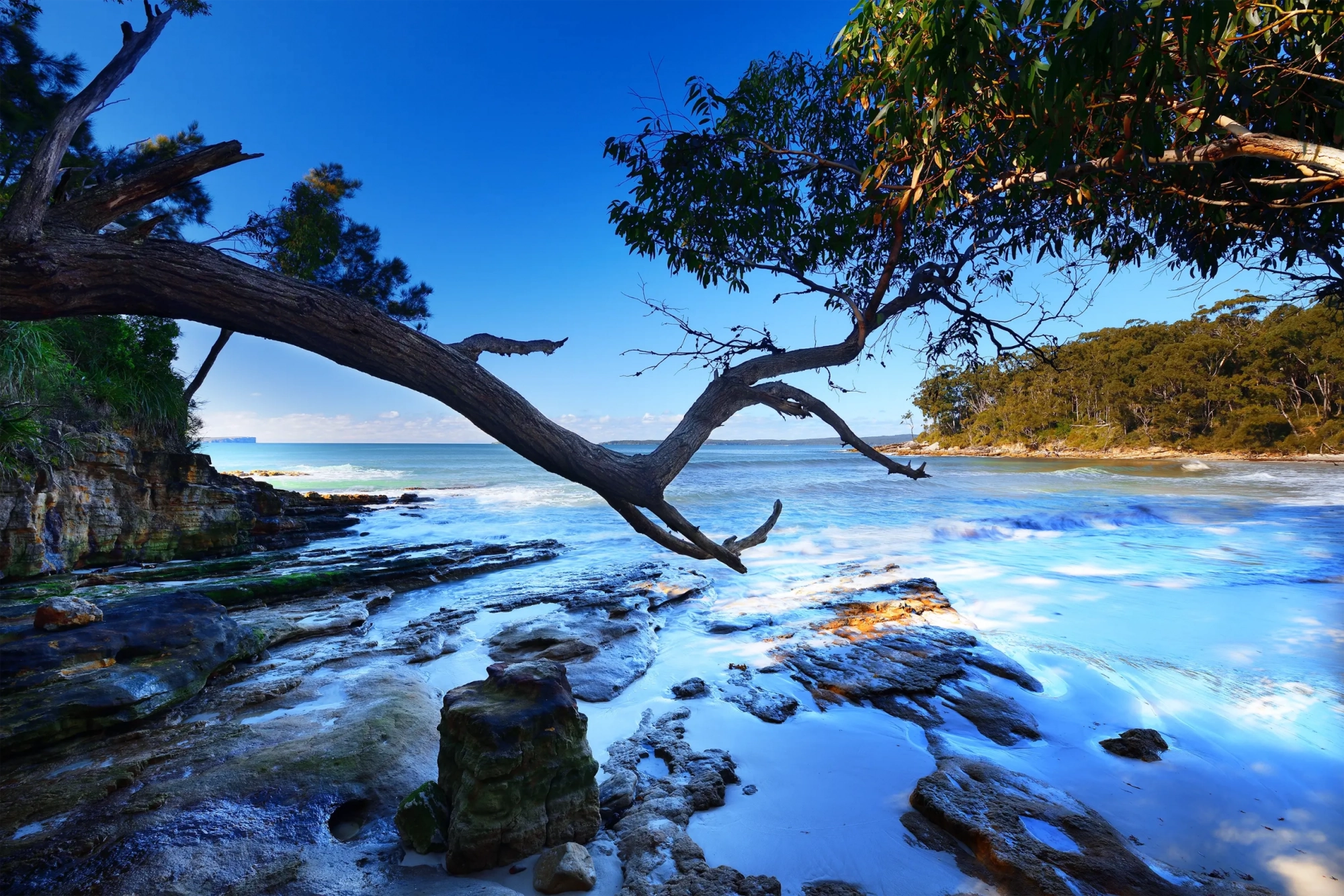 Blenheim Beach